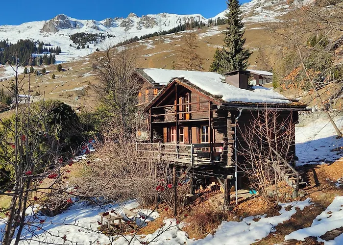 Mazot de l' Arche de Noé